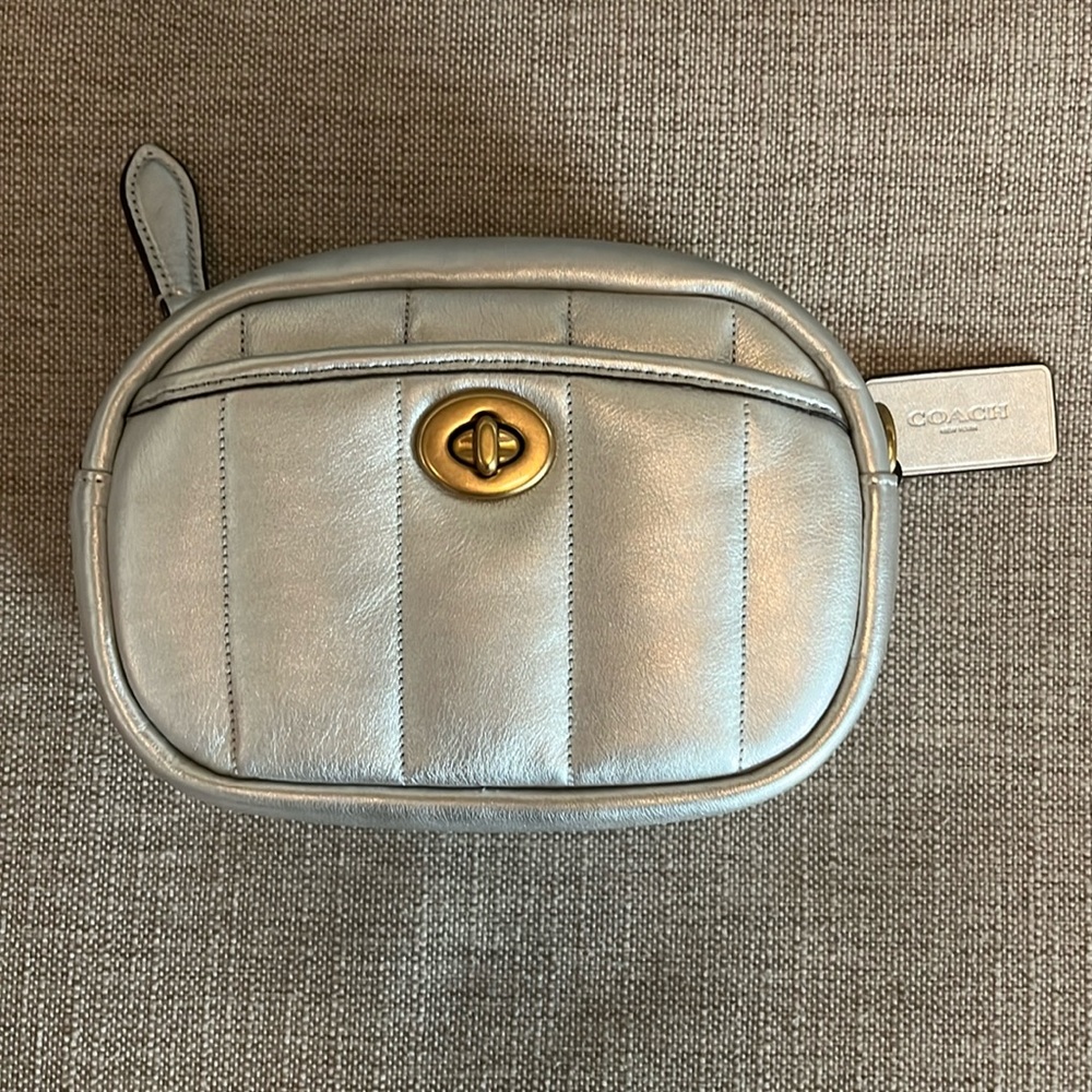 Coach Silver Purse